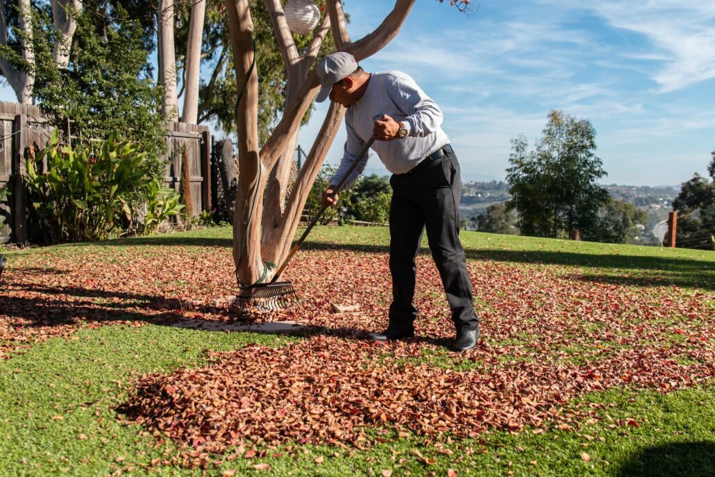 TurFresh artificial turf maintenance worker raking fallen leaves off a synthetic grass lawn for seasonal cleaning
