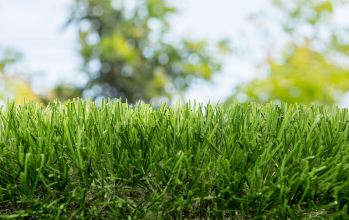 Close-up of lush green artificial turf blades maintained with TurFresh in a sunny backyard