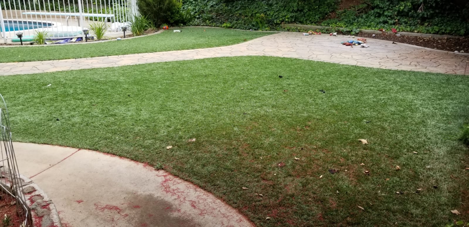 TurfCleaningAfterGood-1500×728 TurfCleaningAfterGood-1500x728