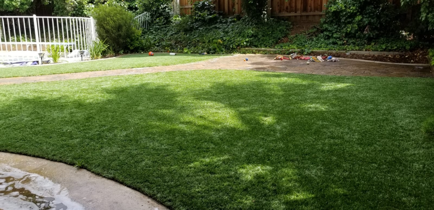 TurfCleaningBeforeGood-1500×728 TurfCleaningBeforeGood-1500x728