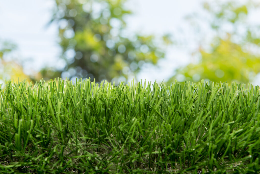 Maintain Your Turf | Turfresh