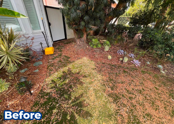 Before TurFresh Artificial Turf Cleaning Showing Heavy Debris and Discoloration Dirty and debris-covered artificial turf area before TurFresh cleaning service.