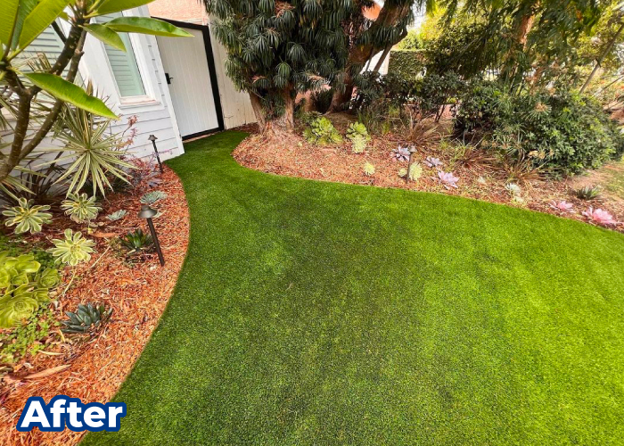 TurFresh Artificial Turf Cleaning Delivering a Bright, Fresh Lawn Appearance Freshly cleaned artificial turf in a landscaped yard serviced by TurFresh.