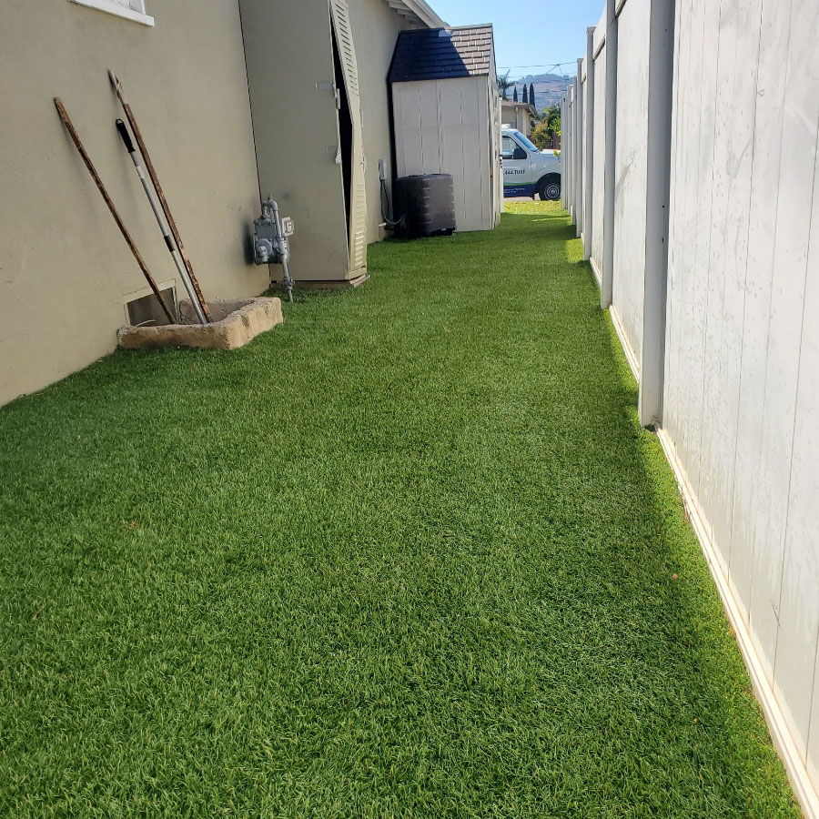 After-side-yard-cleaned Turfresh | After-side-yard-cleaned