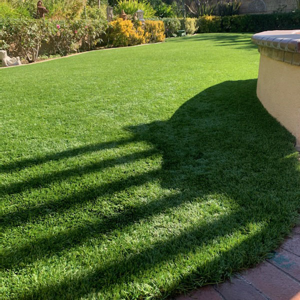 After Turfresh | After