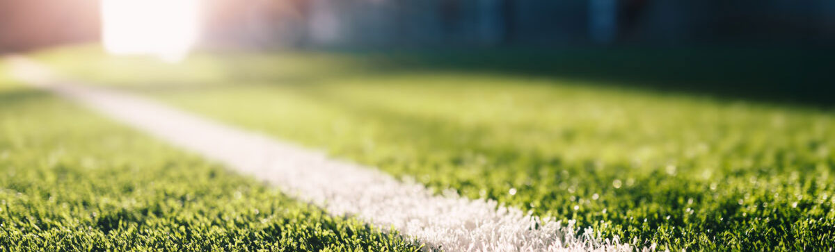 sports-field turfresh