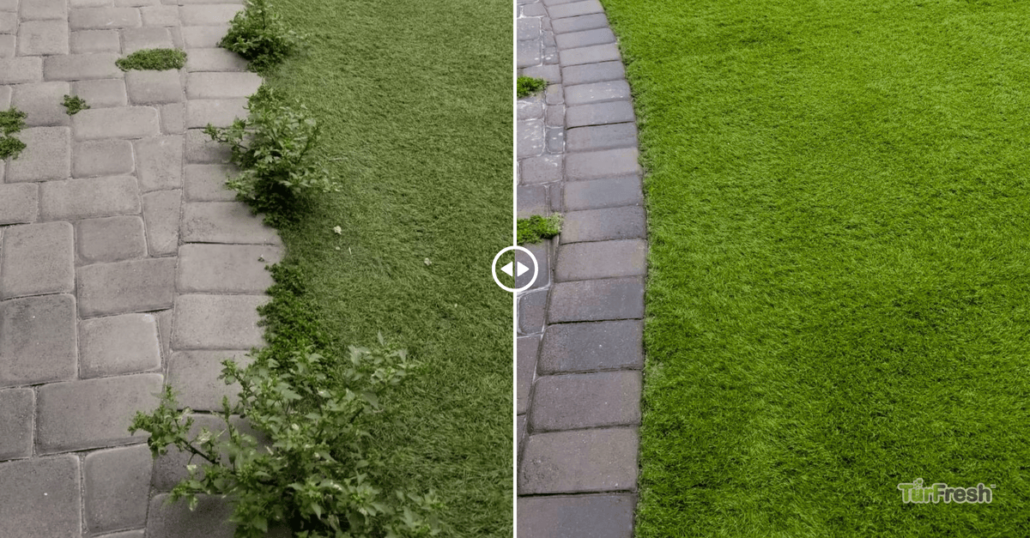 The Problem: Artificial Turf Maintenance Challenges in Phoenix