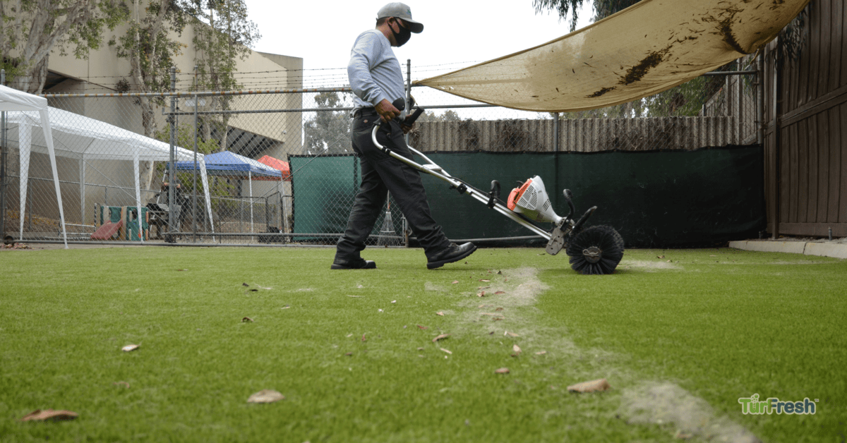 Artificial turf maintenance service brushing leaves from lawn Technician brushing synthetic turf lawn to remove leaves and debris