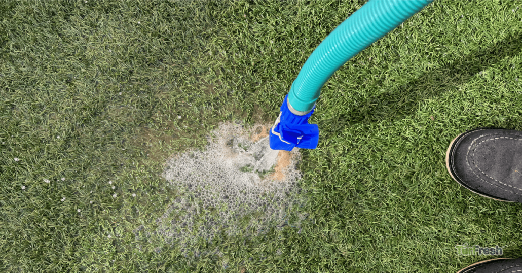 DIY vs. Professional Turf Cleaning