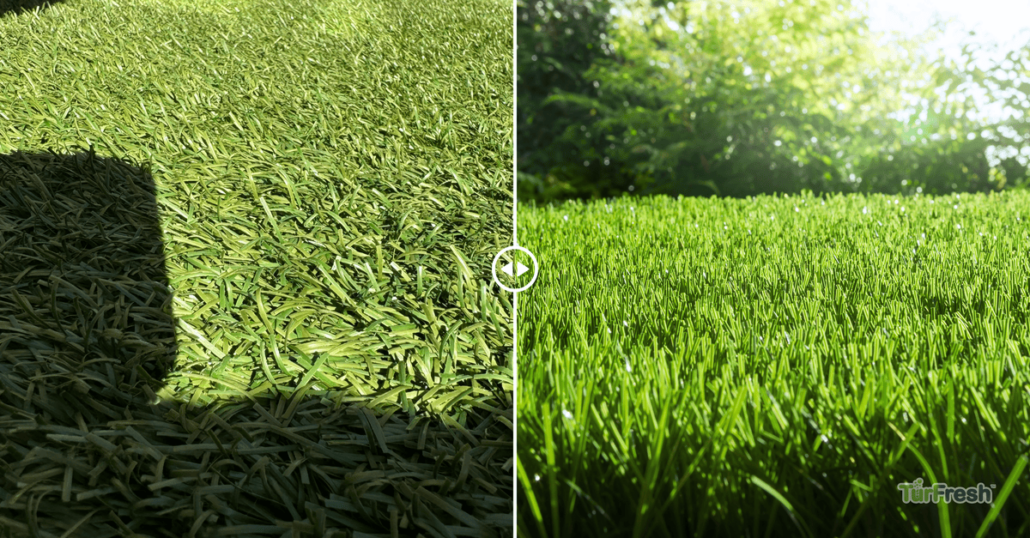 Close-up before and after image of artificial turf rejuvenation by TurFresh, showing transformation from dull, matted grass to vibrant, upright synthetic blades.
