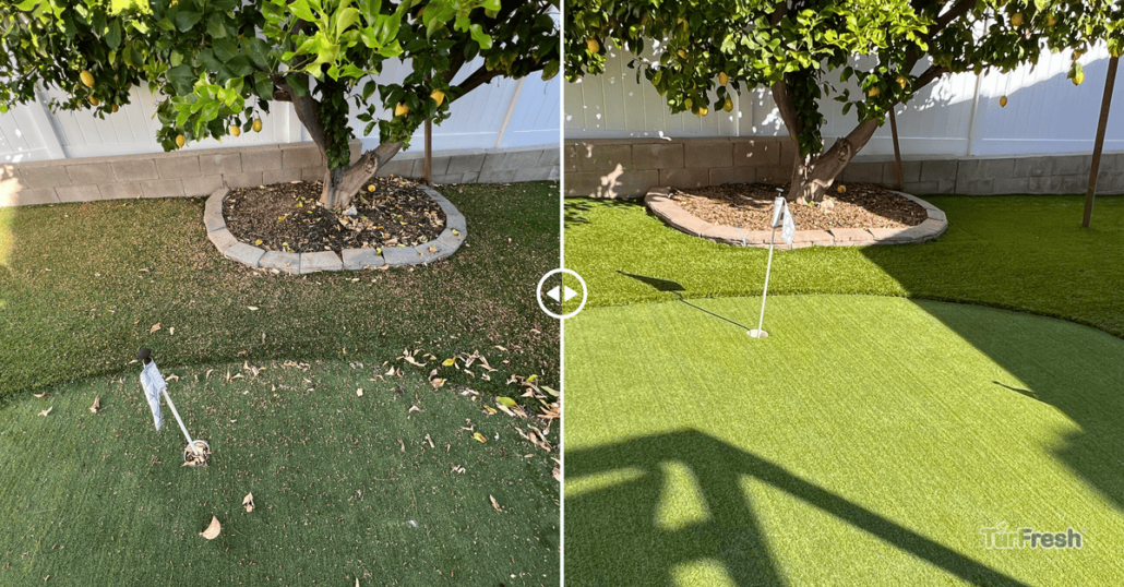 TurFresh artificial turf backyard putting green before and after cleaning under lemon tree showing dirty brown grass transformed to bright green lawn