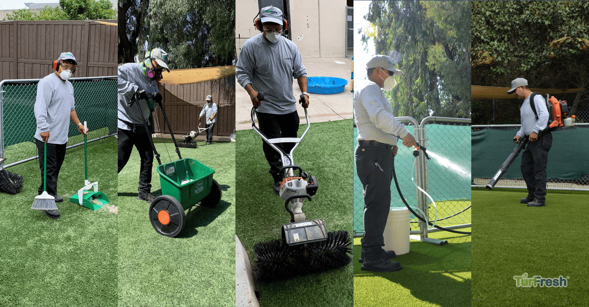 Artificial turf maintenance service brushing leaves from lawn Technician brushing synthetic turf lawn to remove leaves and debris