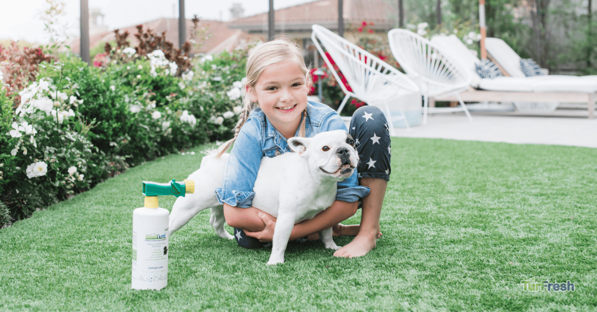 Use Eco-Friendly Cleaning Solutions Use Eco-Friendly Cleaning Solutions