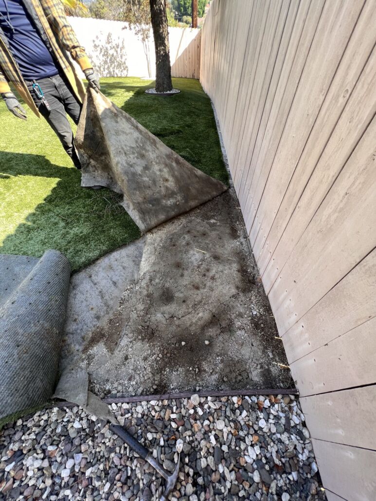 Technician lifting worn artificial turf to reveal dirt and debris buildup underneath, demonstrating the importance of TurFresh’s deep-cleaning, odor-eliminating service using a non-toxic, biodegradable, and pet-safe formula for a healthier lawn environment.