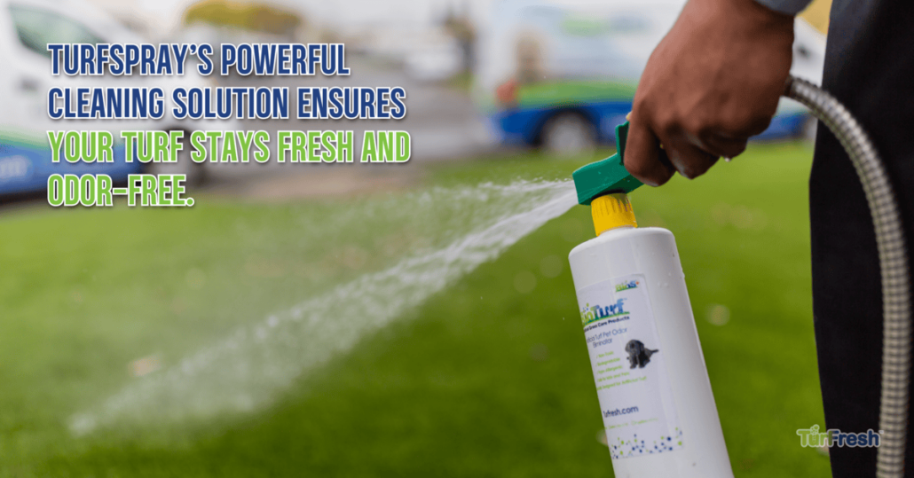 Benefits of Low-Maintenance Turf Care