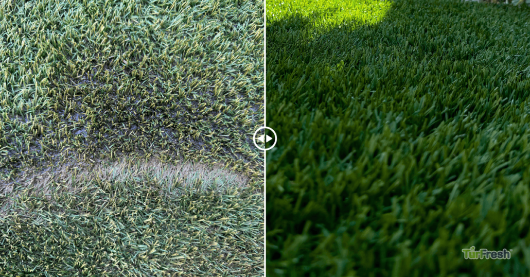 Best Practices for Maintaining Artificial Grass During Monsoon Season