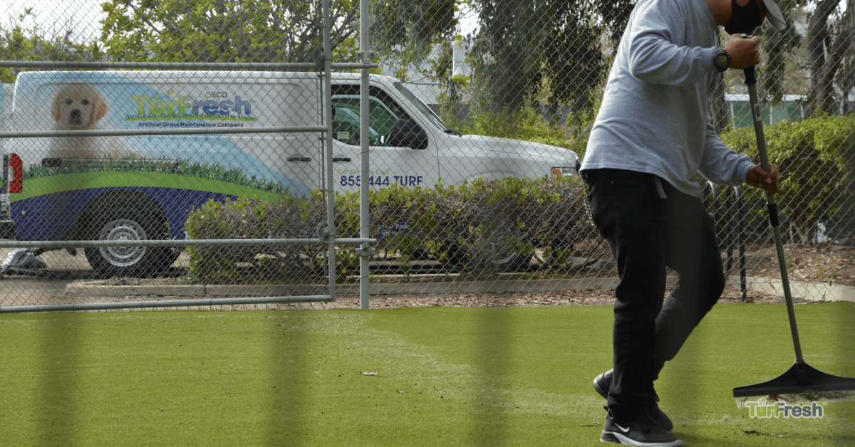 Common Issues with Commercial Artificial Turf in Tucson Common Issues with Commercial Artificial Turf in Tucson