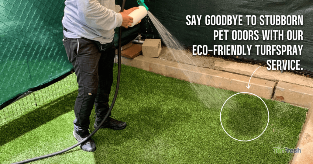 Tips for Maintaining Turf Between TurfSpray Services