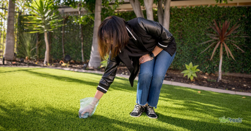 Professional Turf Cleaning is Necessary