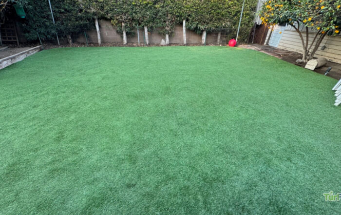 Large artificial turf backyard after TurFresh cleaning showing an even, refreshed green surface