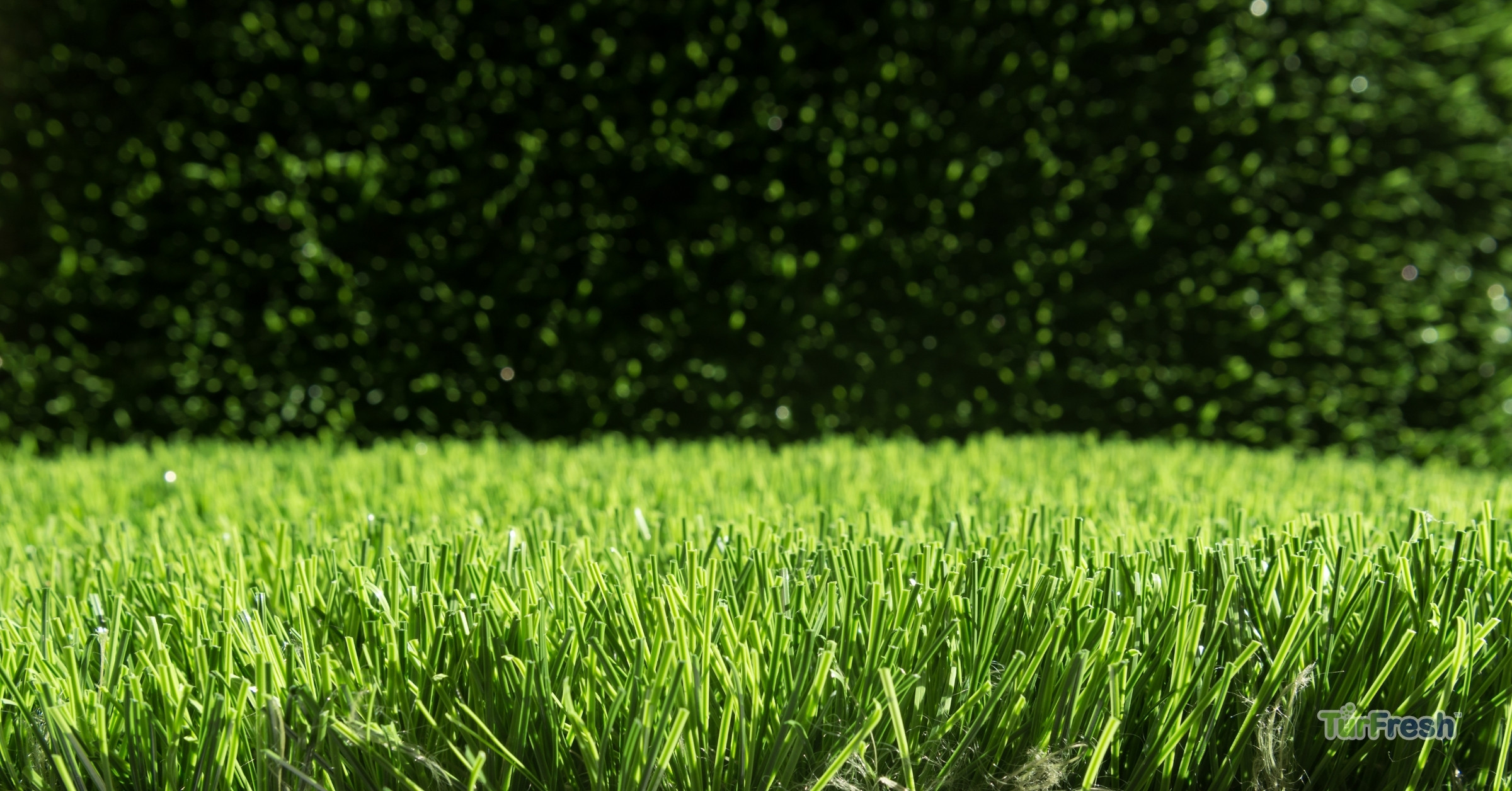 Pristine Artificial Turf Surface Maintained by TurFresh Close-up view of clean, vibrant artificial turf blades in bright sunlight.