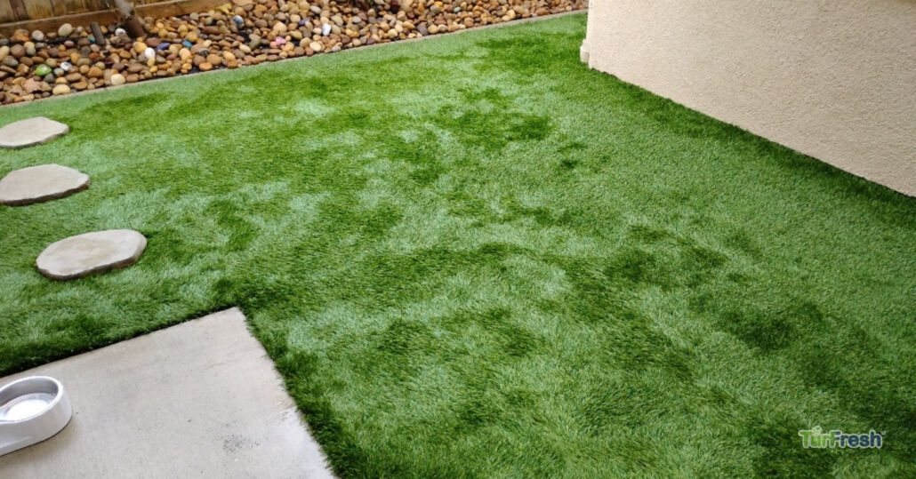 Clean artificial turf backyard with stepping stones and pet water bowl, freshly maintained by TurFresh.