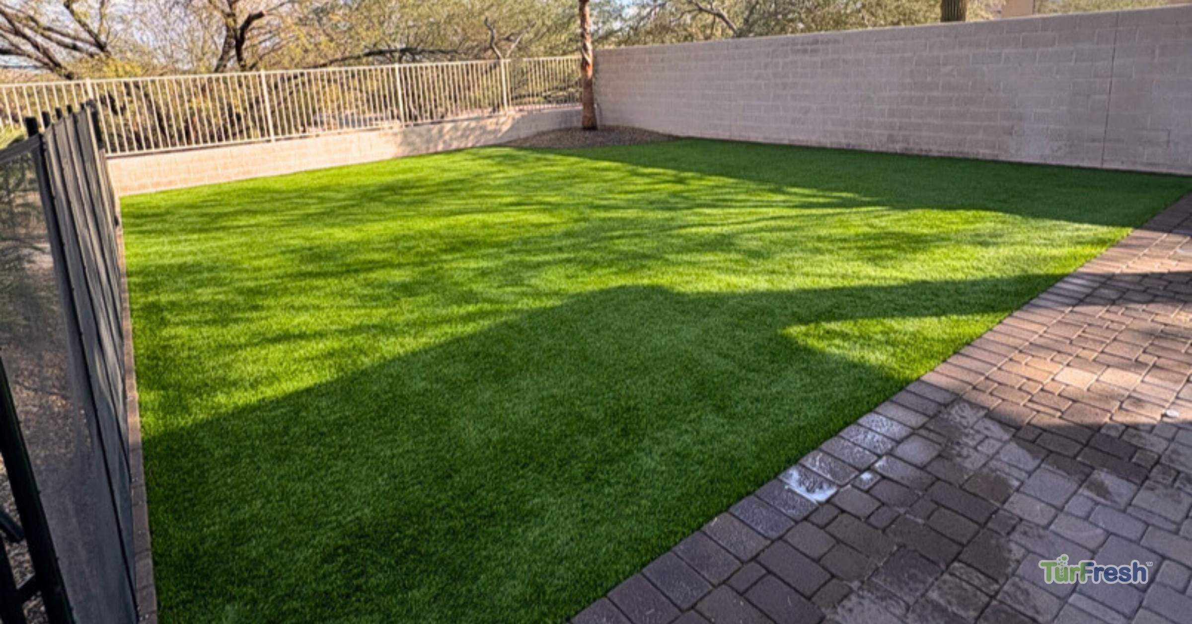 Artificial turf maintenance service brushing leaves from lawn Technician brushing synthetic turf lawn to remove leaves and debris
