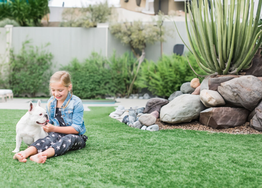 cleaning products for artificial grass with dogs