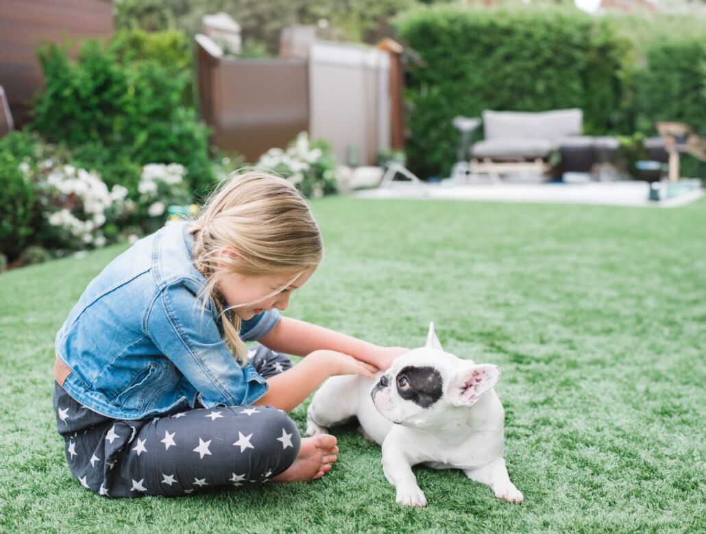 Best practices for dog runs, kennels and heavy-use pet areas