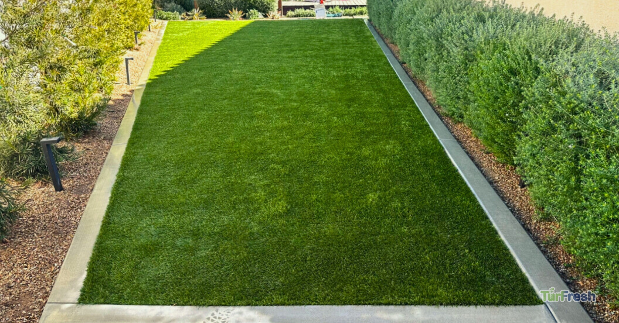 Artificial turf maintenance service brushing leaves from lawn Technician brushing synthetic turf lawn to remove leaves and debris