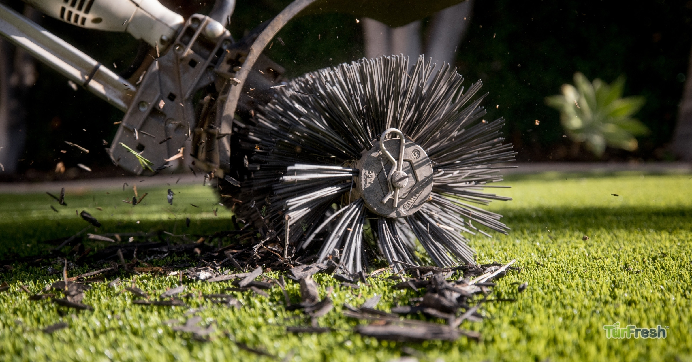 Artificial turf maintenance service brushing leaves from lawn Technician brushing synthetic turf lawn to remove leaves and debris