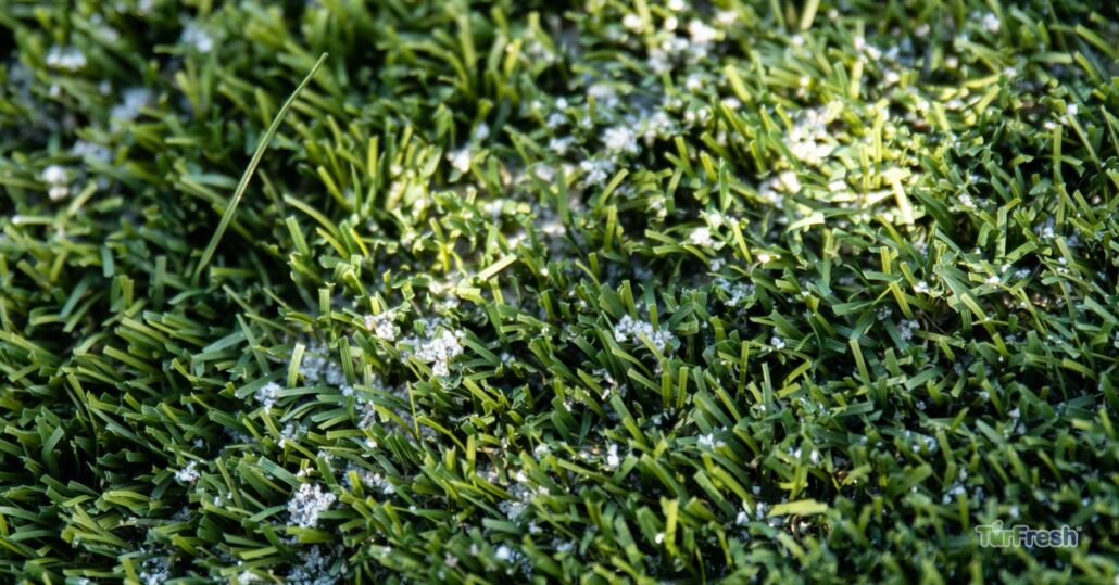 Weeds Grow in Artificial Grass