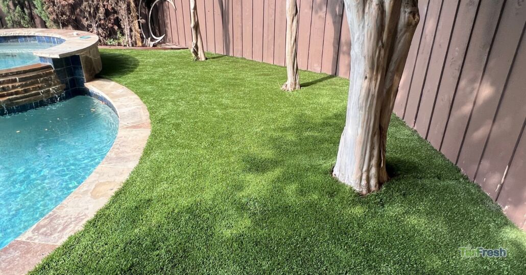 Artificial turf lawn around a backyard pool and trees, freshly cleaned and maintained by TurFresh.