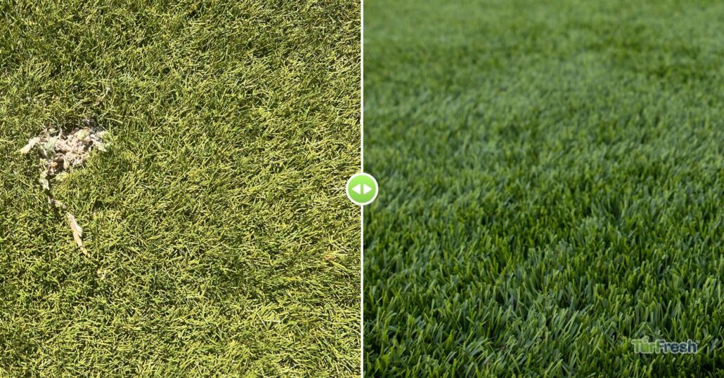 TurFresh artificial turf cleaning before and after comparison showing dull damaged grass on left and fresh green blades on right