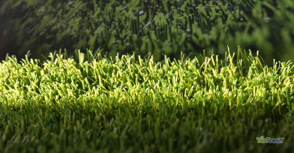 A Call for Thoughtful Environmental Advocacy