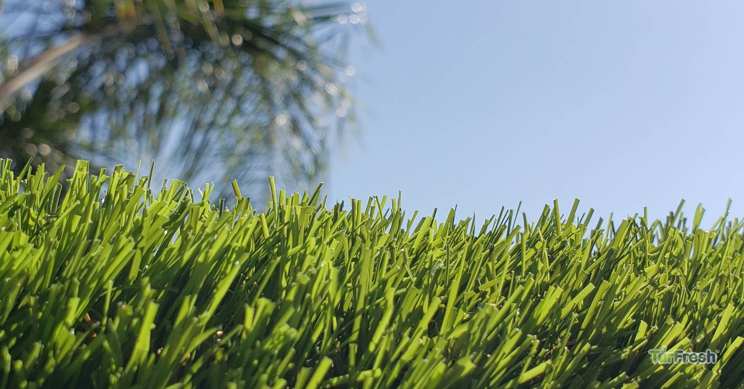TurFresh artificial turf closeup with bright green grass blades under clear blue summer sky