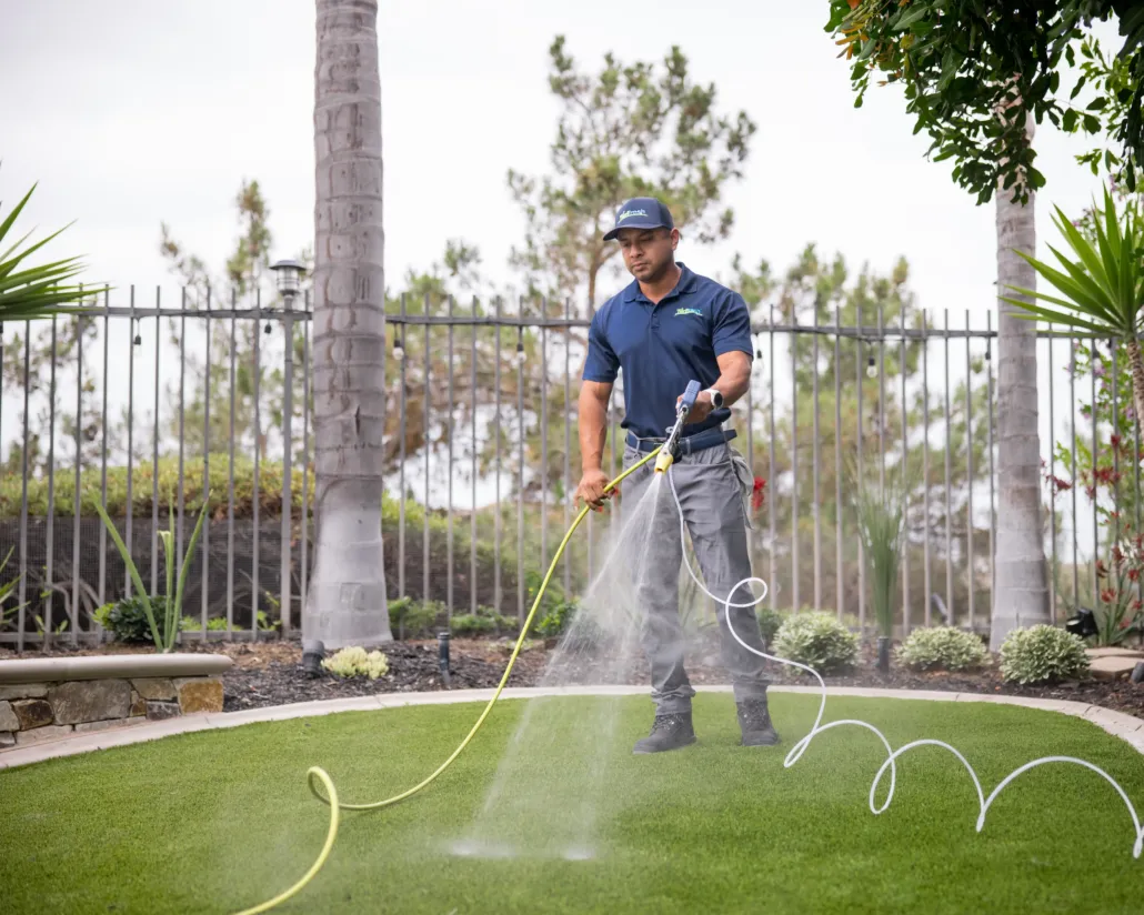 TurFresh technician spraying cleaner across a residential artificial turf lawn to sanitize, deodorize, and refresh synthetic grass.