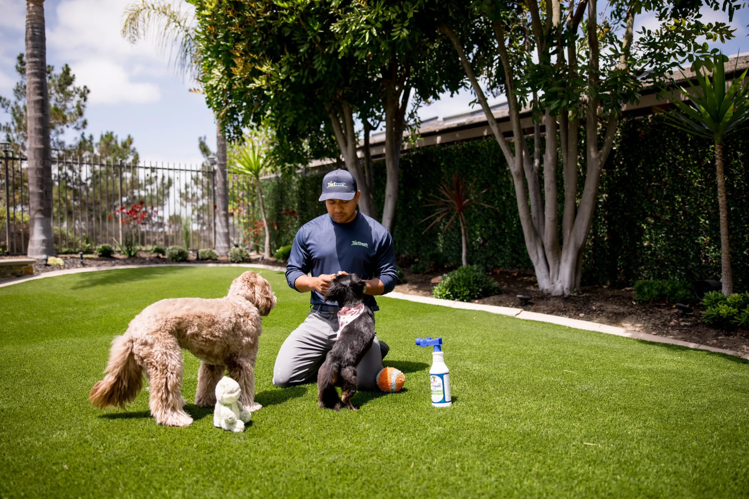 Residential Synthetic Turf Cleaning Service by TurFresh Technician power-washing synthetic turf residential lawn at TurFresh