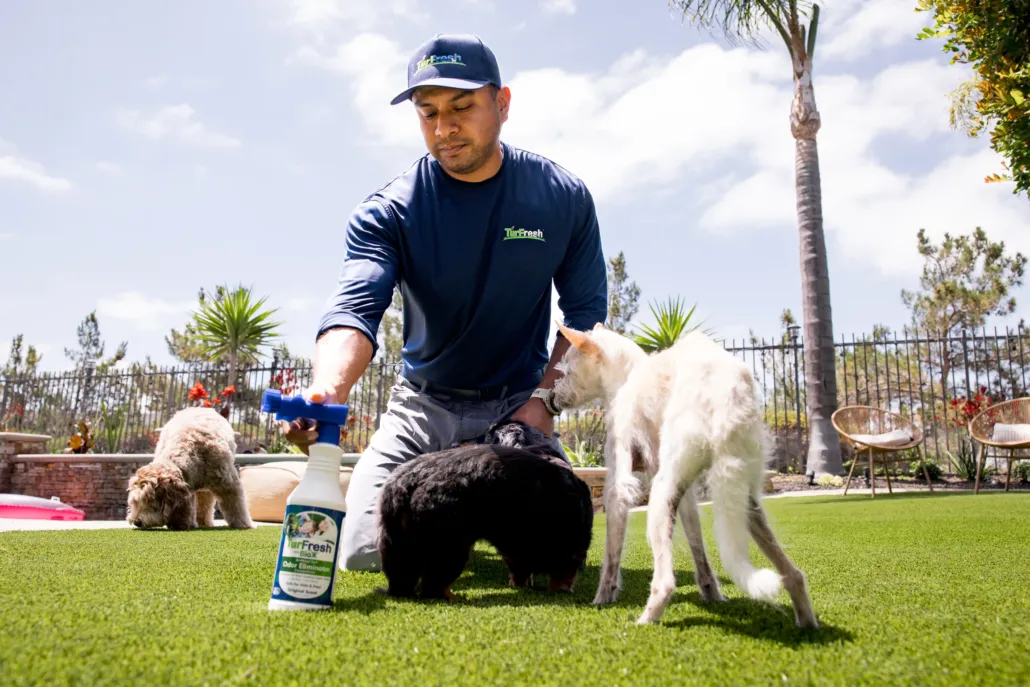 Worker pressure-washing artificial turf maintenance at TurFresh job site