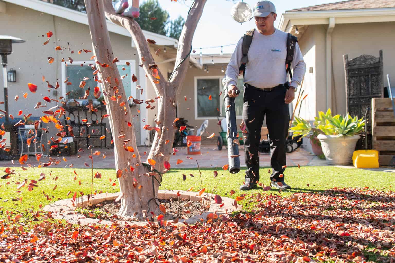 TurFresh technician clearing leaves from backyard artificial turf lawn TurFresh technician using a leaf blower to clear fallen leaves from backyard artificial turf before a professional cleaning service.