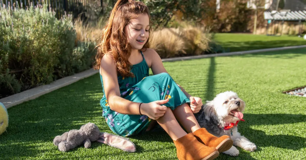 artificial turf cleaning for pets and odor control